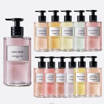 디올 향수 GRIS 그리디올 핸드 앤 바시 숍 리퀴드 300ml