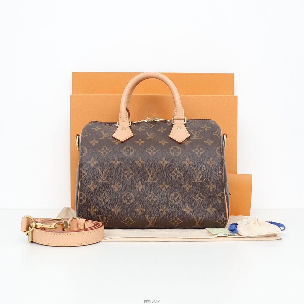 Louis Vuitton ���̺��� ���ǵ� �ݵѸ��� 25 ��Ʈ�� M41113���̺��� ���ǵ� �ݵѸ��� 25 ��Ʈ�� M41113