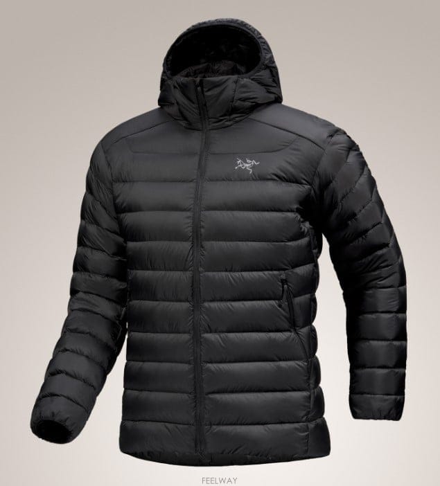 ARCTERYX [���� ���] ��ũ�׸��� ���� ������ ���� �ĵ� ������ ���� �淮�е� [����������][���� ���] ��ũ�׸��� ���� ������ ���� �ĵ� ������ ��