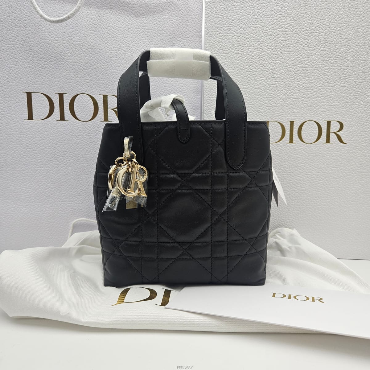 DIOR ��� ������ ���� ��Ƽ�� ���� (26�� 6�� ����)��� ������ ���� ��Ƽ�� ���� (26�� 6�� ����)