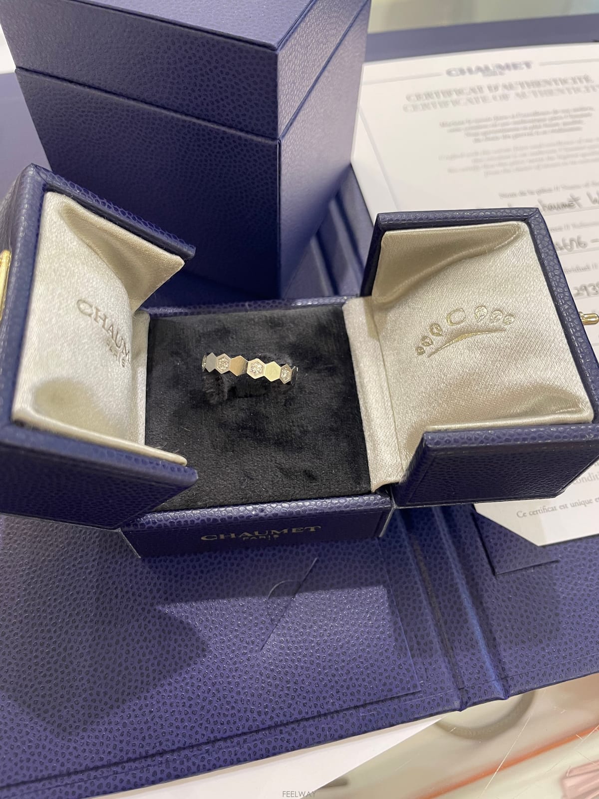 Chaumet (COCOMINA)��� ���̷��� WG 10point (50ȣ)(COCOMINA)��� ���̷��� WG 10point (50ȣ)