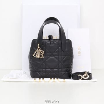 DIOR 뚜주흐 버티컬 블랙 스몰