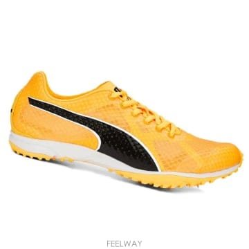 PUMA 슈즈 남성 EVOSPEED HARAKA 7 37700701GIALLO TP576257078