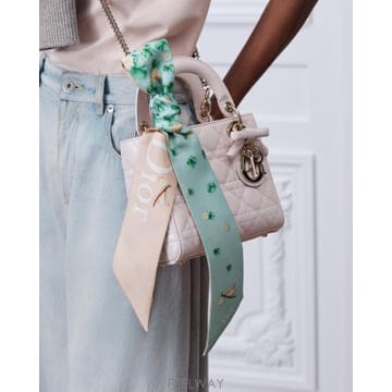 DIOR �������/�� ��� ��� ���͸��� ���� ��ī���������/�� ��� ��� ���͸��� ���� ��ī��