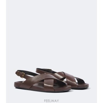 Saint Laurent ������� ���ζ� Helios Cassandre ���� ���鱹����� ���ζ� Helios Cassandre ���� ����