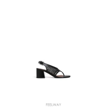 Alaia �δ��� ALAIA �˶��̾� ���� �������δ��� ALAIA �˶��̾� ���� ������