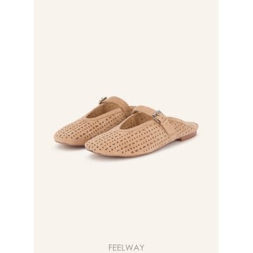 | Other Brand | BIBILOU MAIA �� 100302902812000 TP575599628BIBILOU MAIA �� 100302902812000 TP575599628
