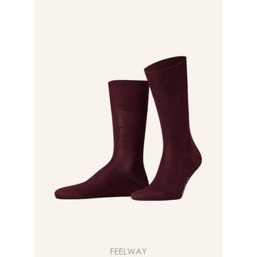 | Other Brand | FALKE �縻 LUXURY NO  6 100069061518001 TP575971629FALKE �縻 LUXURY NO  6 100069061518001 TP575971629