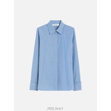 Max Mara 25SS �������� RISORS ���� 2521116181010 TP57543166725SS �������� RISORS ���� 2521116181010 TP575431667