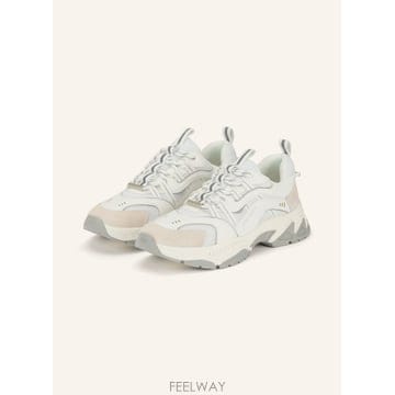 스티브매든 ANIMATES E 스니커즈 100295524011000 TP575691131