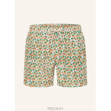 | Other Brand | ����Ʈ�ٽ� ���� ���� 100169761219700 TP575709150����Ʈ�ٽ� ���� ���� 100169761219700 TP575709150
