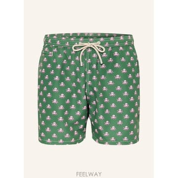 | Other Brand | ����Ʈ�ٽ� ���� ���� 100169761216000 TP575656036����Ʈ�ٽ� ���� ���� 100169761216000 TP575656036