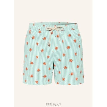 | Other Brand | ����Ʈ�ٽ� ���� ���� 100303450816000 TP575656035����Ʈ�ٽ� ���� ���� 100303450816000 TP575656035