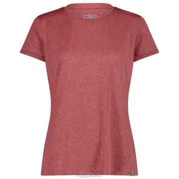 | Other Brand | CMP ���� �ƿ����� t ���� 9165844CORAL TP575554053CMP ���� �ƿ����� t ���� 9165844CORAL TP575554053