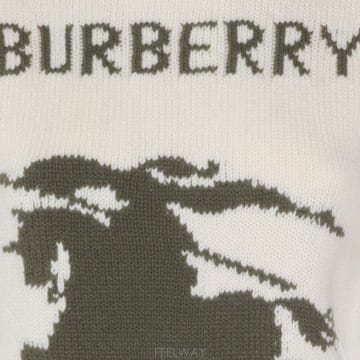 Burberry 26SS Burberry T ���� 8118622C3997 TP57621691626SS Burberry T ���� 8118622C3997 TP576216916