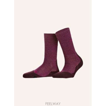 | Other Brand | FALKE Trekking �縻 TK2 100006214018001 TP575969072FALKE Trekking �縻 TK2 100006214018001 TP575969072