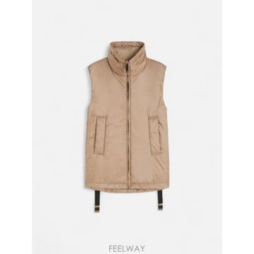 Max Mara 25SS �������� GREENVE ����Ʈ 2529296014023 TP57707332725SS �������� GREENVE ����Ʈ 2529296014023 TP577073327