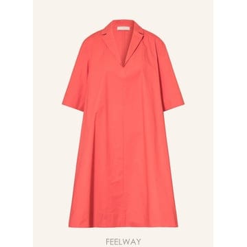 | Other Brand | ANTONELLI �巹�� 100299904118002 TP575967124ANTONELLI �巹�� 100299904118002 TP575967124