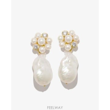 | Other Brand | Completedworks ����Ʈ��ӽ� Ŭ������ ���� �Ͱ��� P165  TP979447789Completedworks ����Ʈ��ӽ� Ŭ������ ���� �Ͱ��� P165 