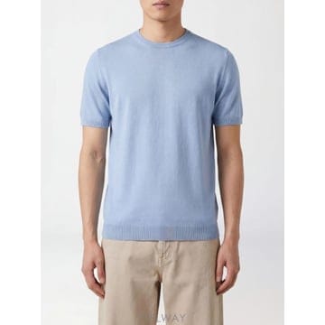 | Other Brand | ROBERTO COLLINA ���� ������ 261MYA10021 TP646154757ROBERTO COLLINA ���� ������ 261MYA10021 TP646154757
