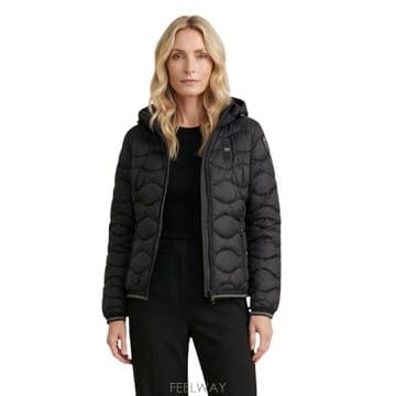 | Other Brand | 26SS BLAUER CAMELIA 26SBLDC03169 26SBLDC03169999 TP57602913426SS BLAUER CAMELIA 26SBLDC03169 26SBLDC03169999 TP576