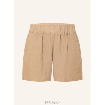 120 LINO 120  LINO linen ���� 100299101812000 TP576028269120  LINO linen ���� 100299101812000 TP576028269