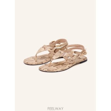 Stuart Weitzman ��Ʃ��Ʈ�������� MARLEY Toe Separators 100305668412000 TP575758380��Ʃ��Ʈ�������� MARLEY Toe Separators 100305668412000