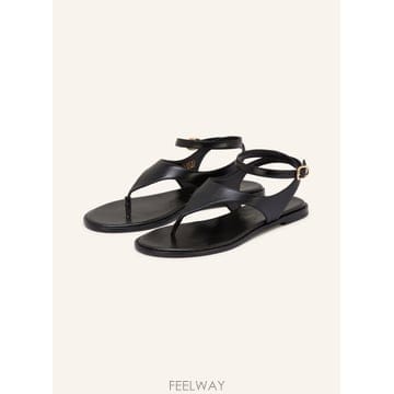 Stuart Weitzman ��Ʃ��Ʈ�������� MARLEY Toe Separators 100305667213000 TP575758379��Ʃ��Ʈ�������� MARLEY Toe Separators 100305667213000