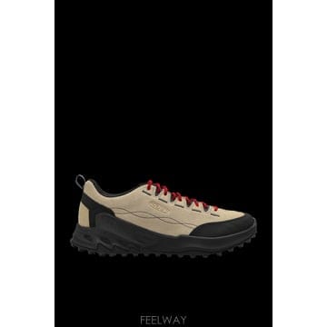 | Other Brand | KEEN Jasper Zionic ������ ���� KE10295850SAFARISKYCAPTAIN TP57477KEEN Jasper Zionic ������ ���� KE10295850SAFARISKYCAPT
