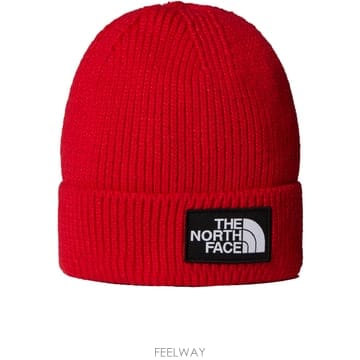 THE NORTH FACE 26SS �뽺���̽� BERRETTO NF0A8CHE68TNF TP57333719026SS �뽺���̽� BERRETTO NF0A8CHE68TNF TP573337190
