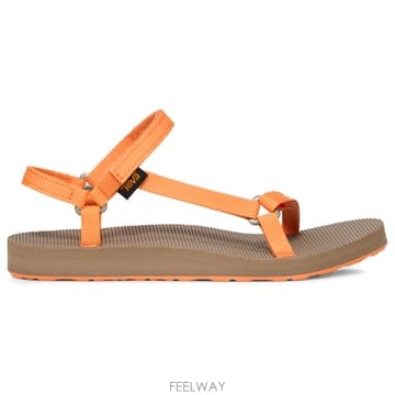 | Other Brand | TEVA ���� ���� 1251155PAPAYA TP575658155TEVA ���� ���� 1251155PAPAYA TP575658155