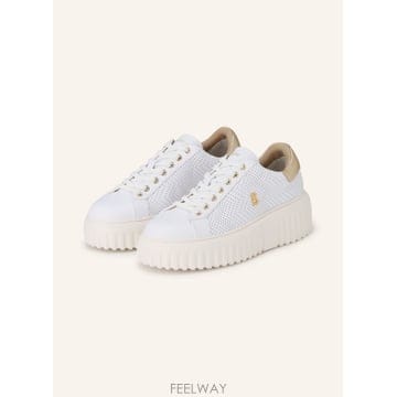 | Other Brand | ���׳� Sneaker SINGAPORE 2 100300058611000 TP576284944���׳� Sneaker SINGAPORE 2 100300058611000 TP576284944