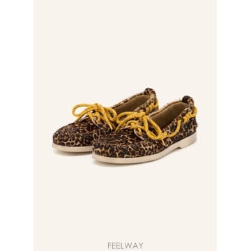 Golden Goose ��籸�� ��Ʈ ���� 100302144815000 TP575741418��籸�� ��Ʈ ���� 100302144815000 TP575741418