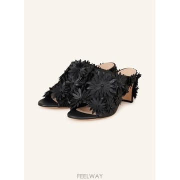 | Other Brand | AGL �� DAISY 100279584513000 TP575741010AGL �� DAISY 100279584513000 TP575741010