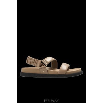 Max Mara 26SS �������� ���� ����  Macro  MXAMACRO2614521072044 TP57485455826SS �������� ���� ����  Macro  MXAMACRO2614521072044 