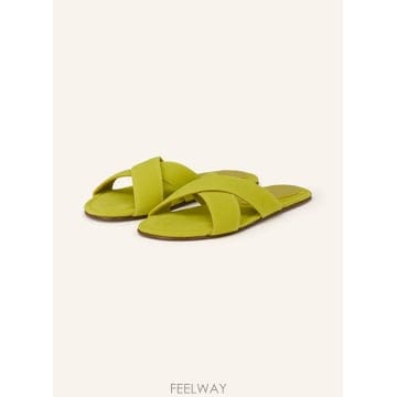| Other Brand | ���ƺ������ HINA �� 100301534716000 TP576108409���ƺ������ HINA �� 100301534716000 TP576108409