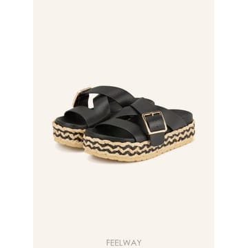 | Other Brand | �ȷθ� �ٸ����� Plateau ���� VIENNA 100305643213000 TP576210826�ȷθ� �ٸ����� Plateau ���� VIENNA 100305643213000 TP