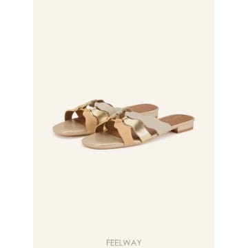 | Other Brand | KURT GEIGER �� WAVE �� 100302413019500 TP576220243KURT GEIGER �� WAVE �� 100302413019500 TP576220243