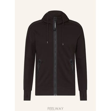 CP company C P  Company ����Ʈ ���� 100295249013000 TP576038966C P  Company ����Ʈ ���� 100295249013000 TP576038966