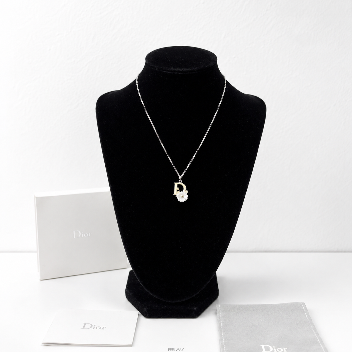 DIOR ��� ������ ����̵�� ������ �����