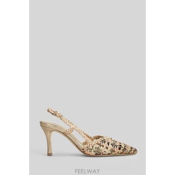 | Other Brand | �󸮾Ƴ� ������ ��� ������ ������ CH1767F6 PLATINUMMULTICOLOR TP979543330�󸮾Ƴ� ������ ��� ������ ������ CH1767F6 PLATINUMMU