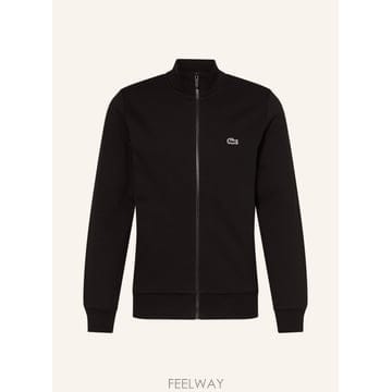 LACOSTE LACOSTE ����Ʈ ���� 100157153613000 TP576211091LACOSTE ����Ʈ ���� 100157153613000 TP576211091