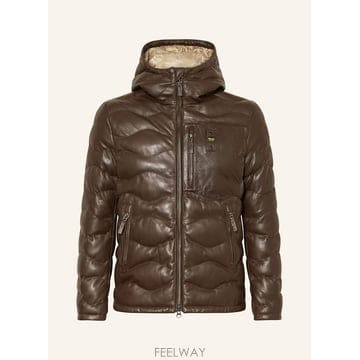 | Other Brand | BLAUER ���� ���� DROHAN 100283435915000 TP576039373BLAUER ���� ���� DROHAN 100283435915000 TP576039373