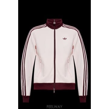 Adidas 26FW ADIDAS ����Ʈ ���� with �ΰ� KX42640DISPINMAROON TP57709540226FW ADIDAS ����Ʈ ���� with �ΰ� KX42640DISPINMAROON 