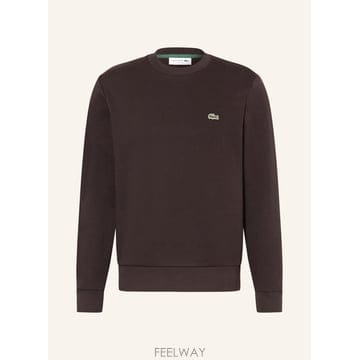 LACOSTE LACOSTE ����Ʈ ���� 100155813215001 TP576295108LACOSTE ����Ʈ ���� 100155813215001 TP576295108