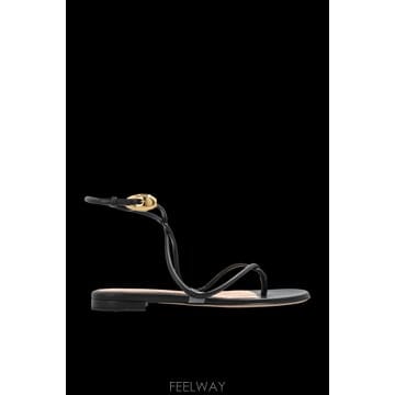 Gianvito Rossi 25FW ���Ⱥ���ξ� ���� ���� Mamba G3255705RICNPYNETR TP57728839925FW ���Ⱥ���ξ� ���� ���� Mamba G3255705RICNPYNETR T