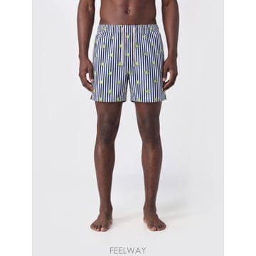 | Other Brand | MC2 SAINT BARTH ���� �������� LIG0016 TP646125752MC2 SAINT BARTH ���� �������� LIG0016 TP646125752