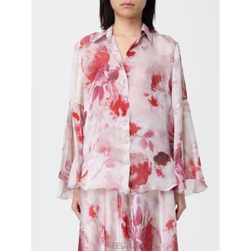 | Other Brand | HANITA ���� ���� HC6964624 TP646169814HANITA ���� ���� HC6964624 TP646169814