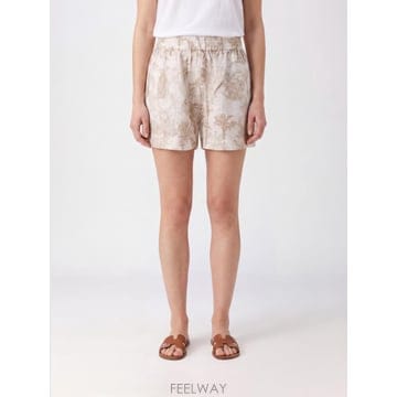 | Other Brand | MC2 SAINT BARTH ���� ���� MEA002 TP646228138MC2 SAINT BARTH ���� ���� MEA002 TP646228138