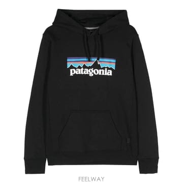 당일배송 파타고니아 P 6 로고 업라이절 후디